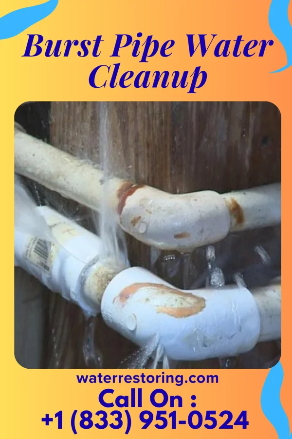 Burst Pipe Water Cleanup in Siloam, GA