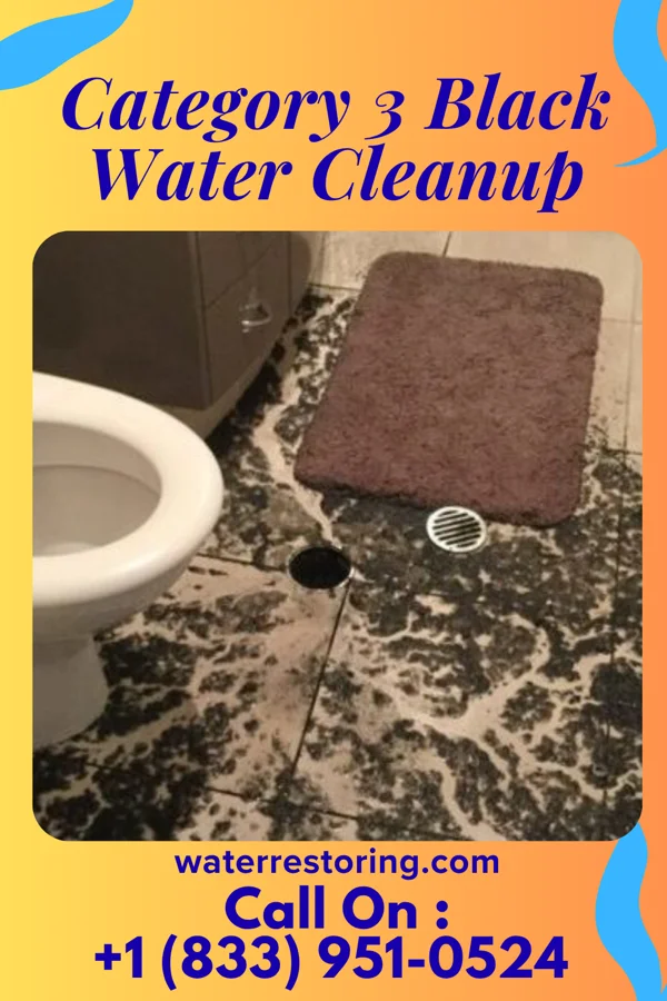 Category 3 Black Water Cleanup in Siloam, GA