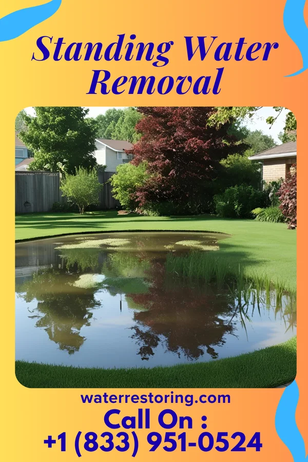 Standing Water Removal in Siloam, GA